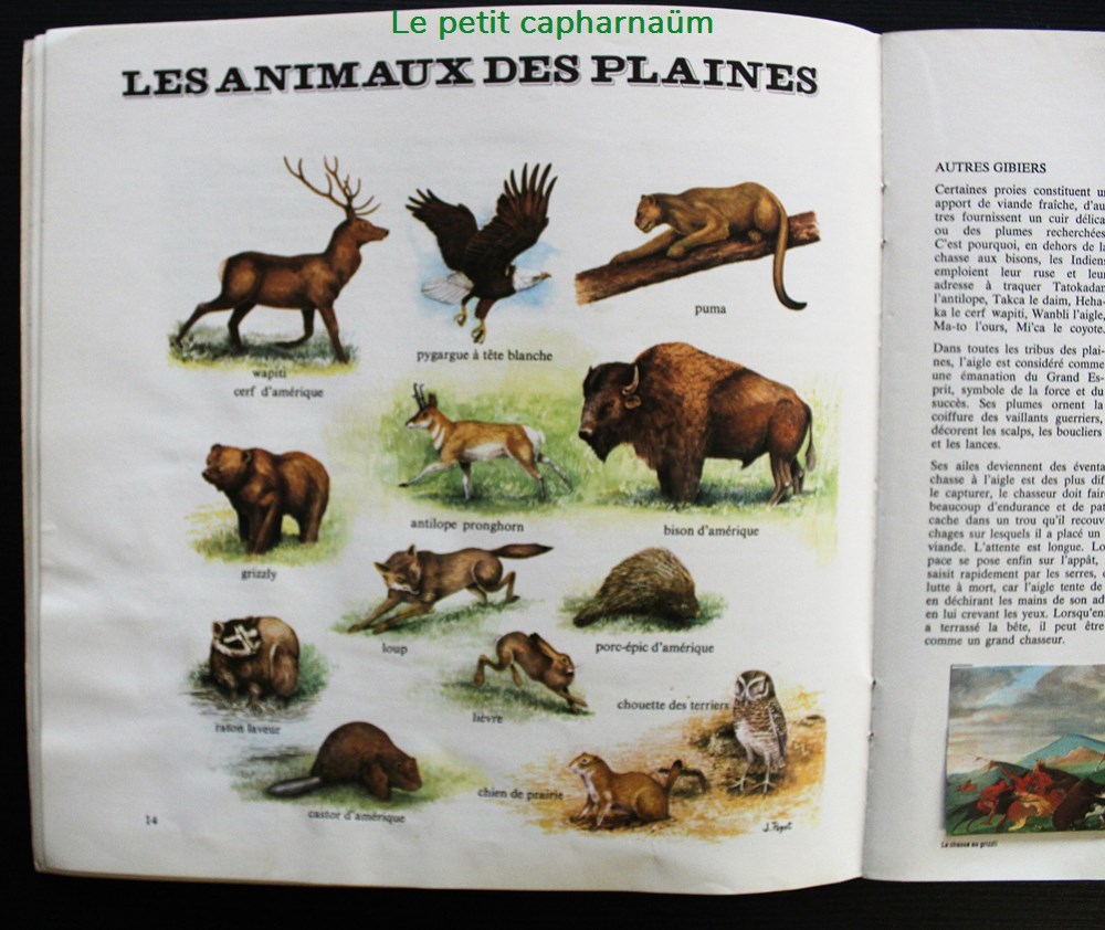 Sur la piste des indiens - Album collecteur d'images Coop 1976 6 documents anciens chromos sur la piste des indiens album collecteur images coop 1976