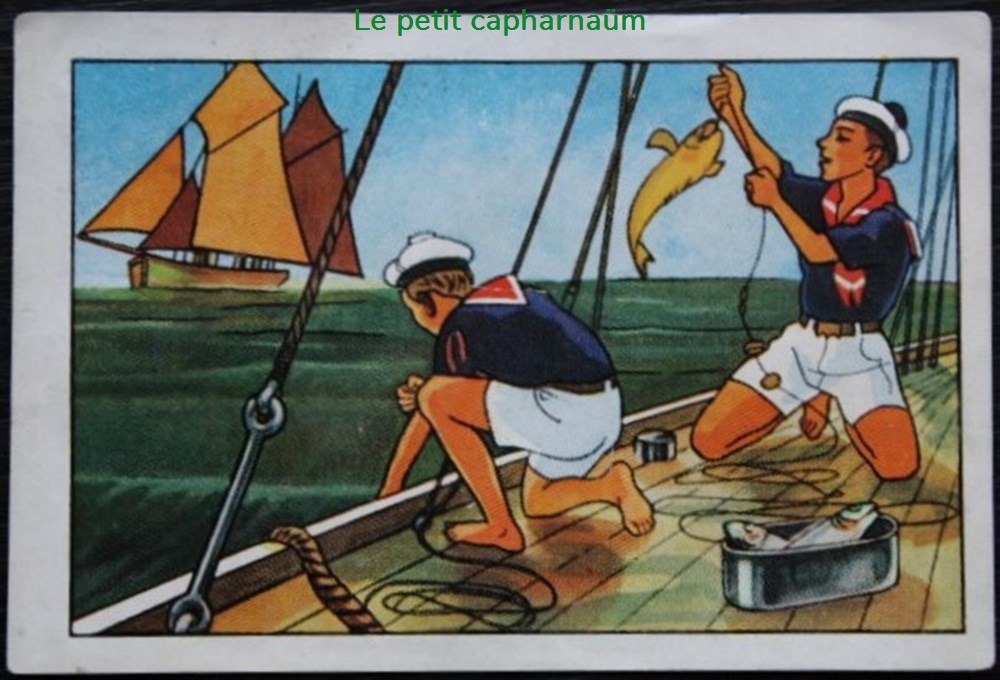 Image / Chromo - La vie fière et joyeuse des scouts - VIII-09 - La pêche documents anciens chromos images alimentaires image chromo la vie fiere et joyeuse des scouts viii 09 la peche