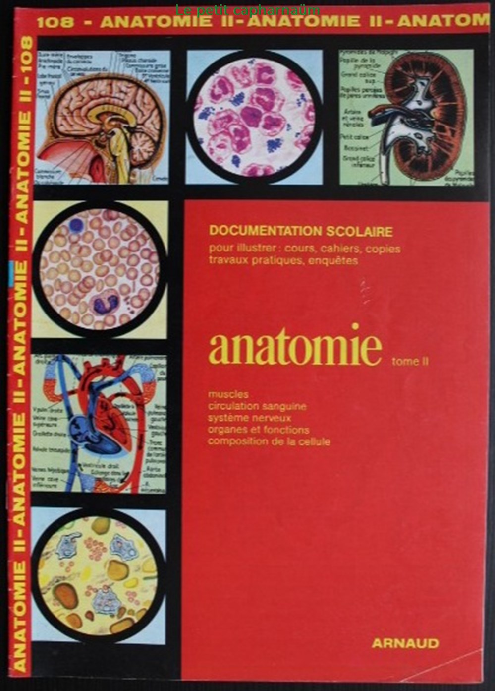 documents anciens chromos images documentation scolaire arnaud 108 anatomie tome ii edition 1985