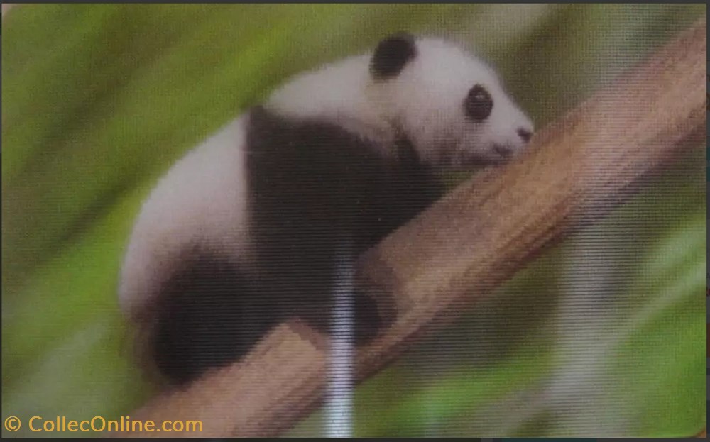 Animaux Cora 2014 - Carte Holographique - 06 - Panda jeux jouets jeu de collectionner animaux cora 2014 carte holographique 06 panda