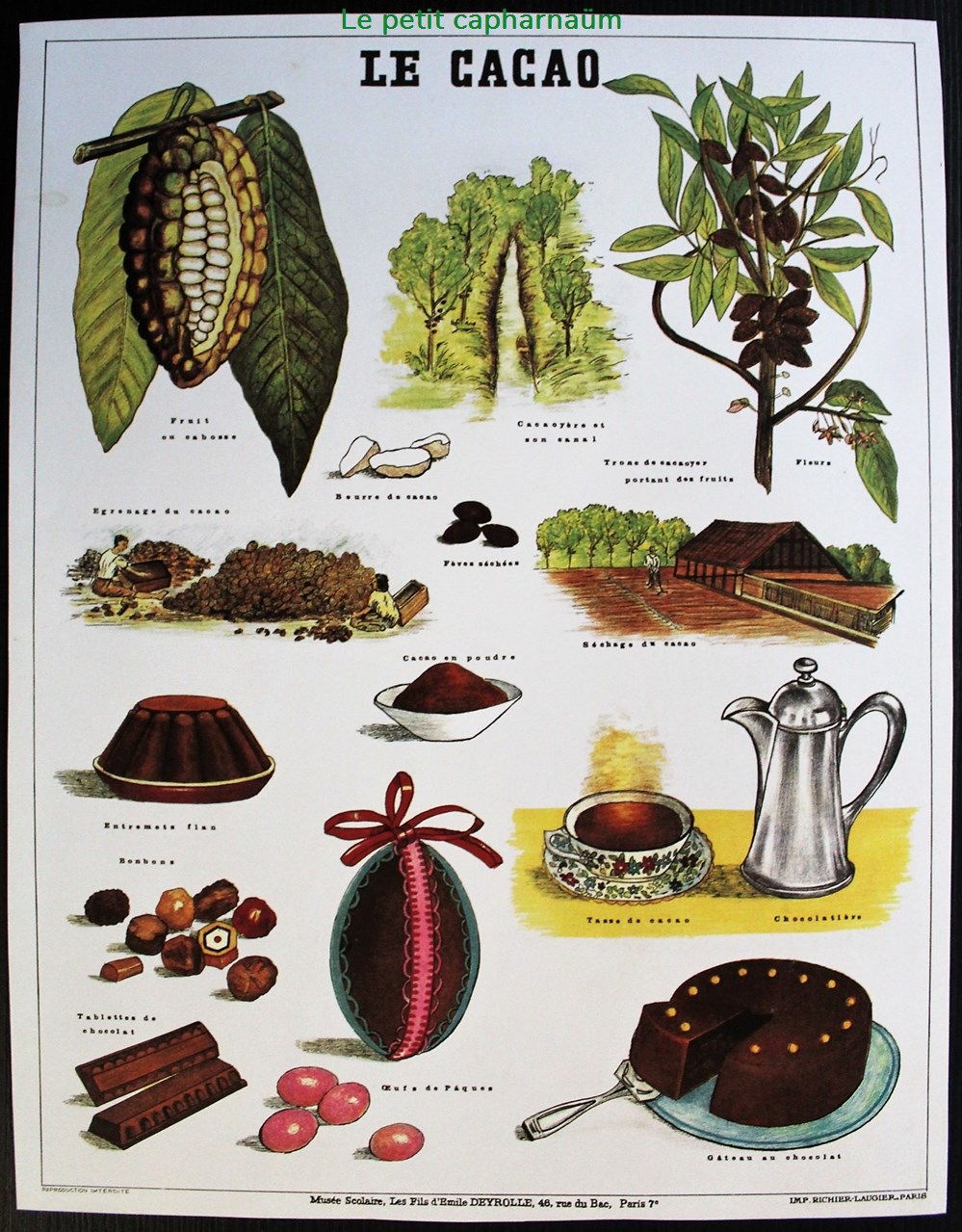 documents anciens chromos images planche documentation scolaire le cacao les fils emile deyrolle