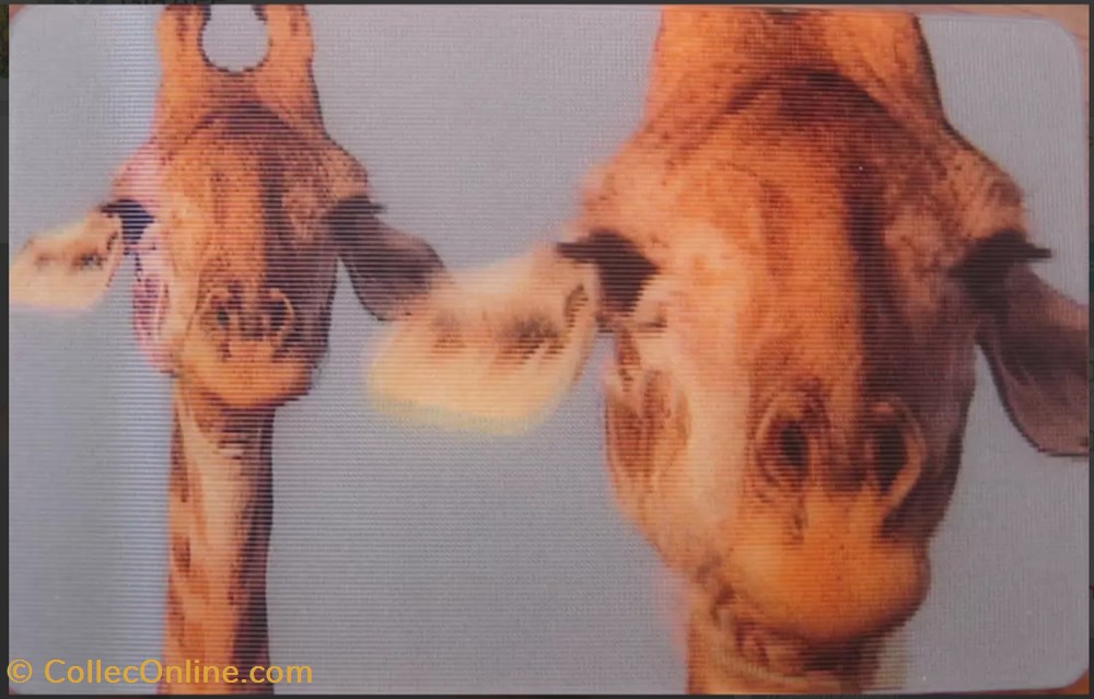 Animaux Cora 2014 - Carte Holographique - 32 - Girafe jeux jouets jeu de collectionner animaux cora 2014 carte holographique 32 girafe