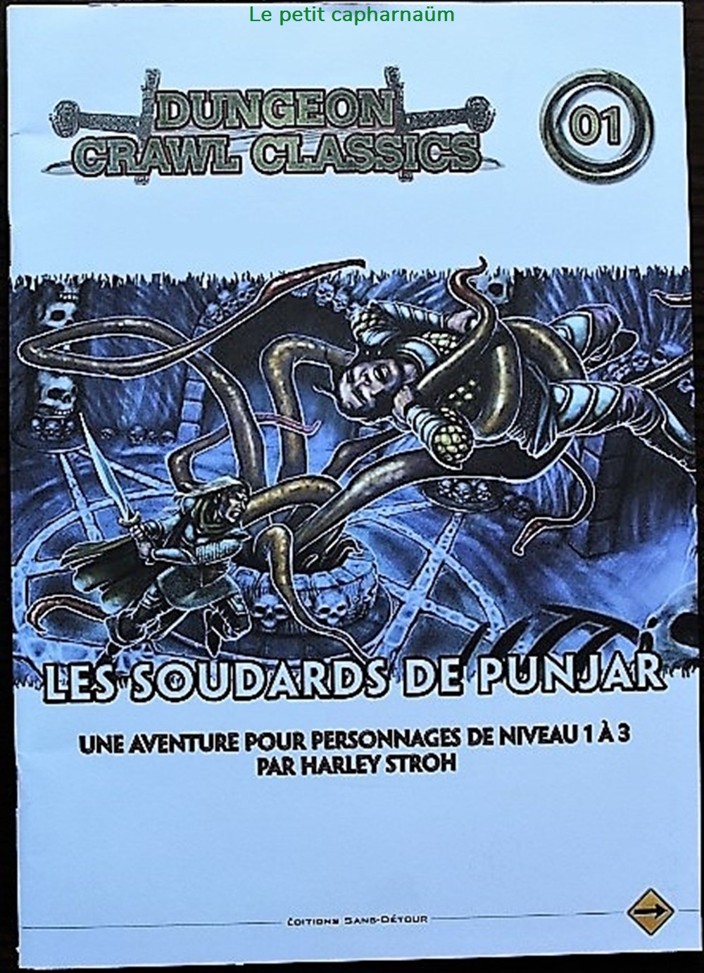 Jeu de rôle - D&D4 - Dungeon Crawl Classics - Les Soudards de Punjar jeux societe jouets roles jeu de role d d4 dungeon crawl classics les soudards de punjar