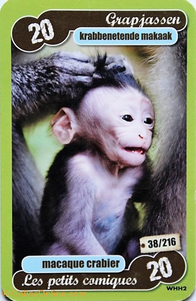 TCG Les héros de notre planète - 038 - Macaque crabier jeux jouet jeu carte collectionner tcg les heros de notre planete 038 macaque crabier