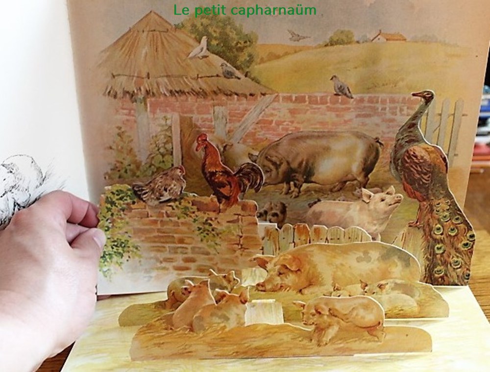 Livre Pop-Up - Animaux amis - Edition Nathan 1980 6 livres bd revues livre pop up animaux amis edition nathan 1980