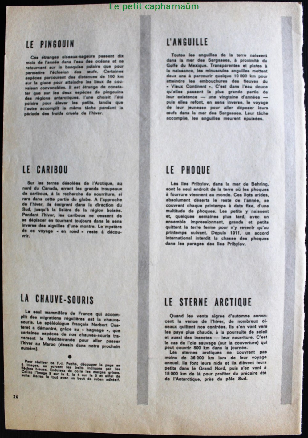 documents anciens chromos planches images les animaux migrateurs