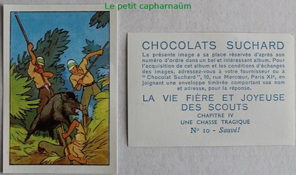 Image / Chromo - La vie fière et joyeuse des scouts - IV-10 - Sauvé ! documents anciens chromos images alimentaires image chromo la vie fiere et joyeuse des scouts iv 10 sauve