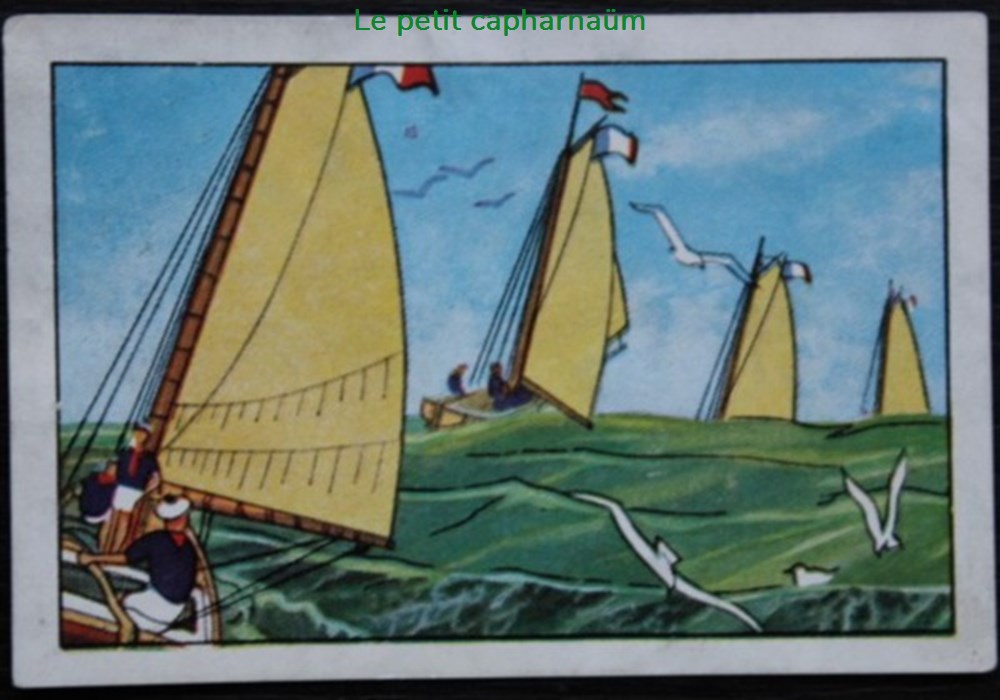 Image / Chromo - La vie fière et joyeuse des scouts - VIII-10 - En croisière documents anciens chromos images alimentaires image chromo la vie fiere et joyeuse des scouts viii 10 en croisiere