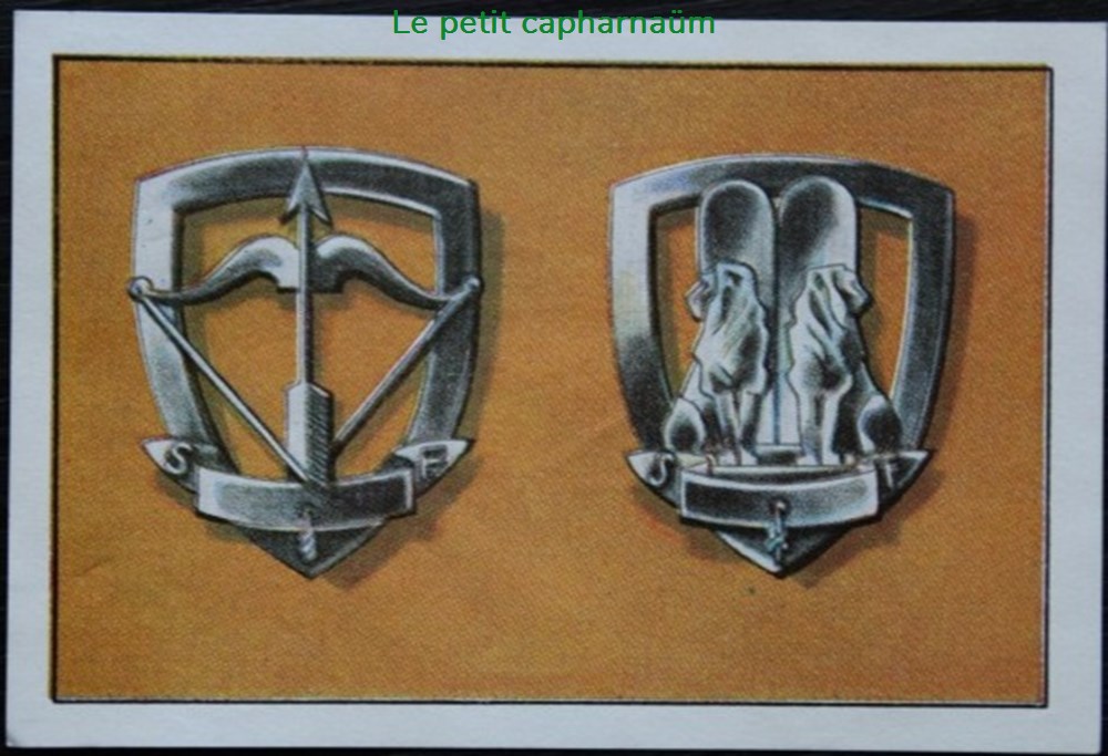 Image / Chromo - La vie fière et joyeuse des scouts - IX-02 - Insignes des éclaireurs de France documents anciens chromos images alimentaires image chromo la vie fiere et joyeuse des scouts ix 02 insignes des eclaireurs de france