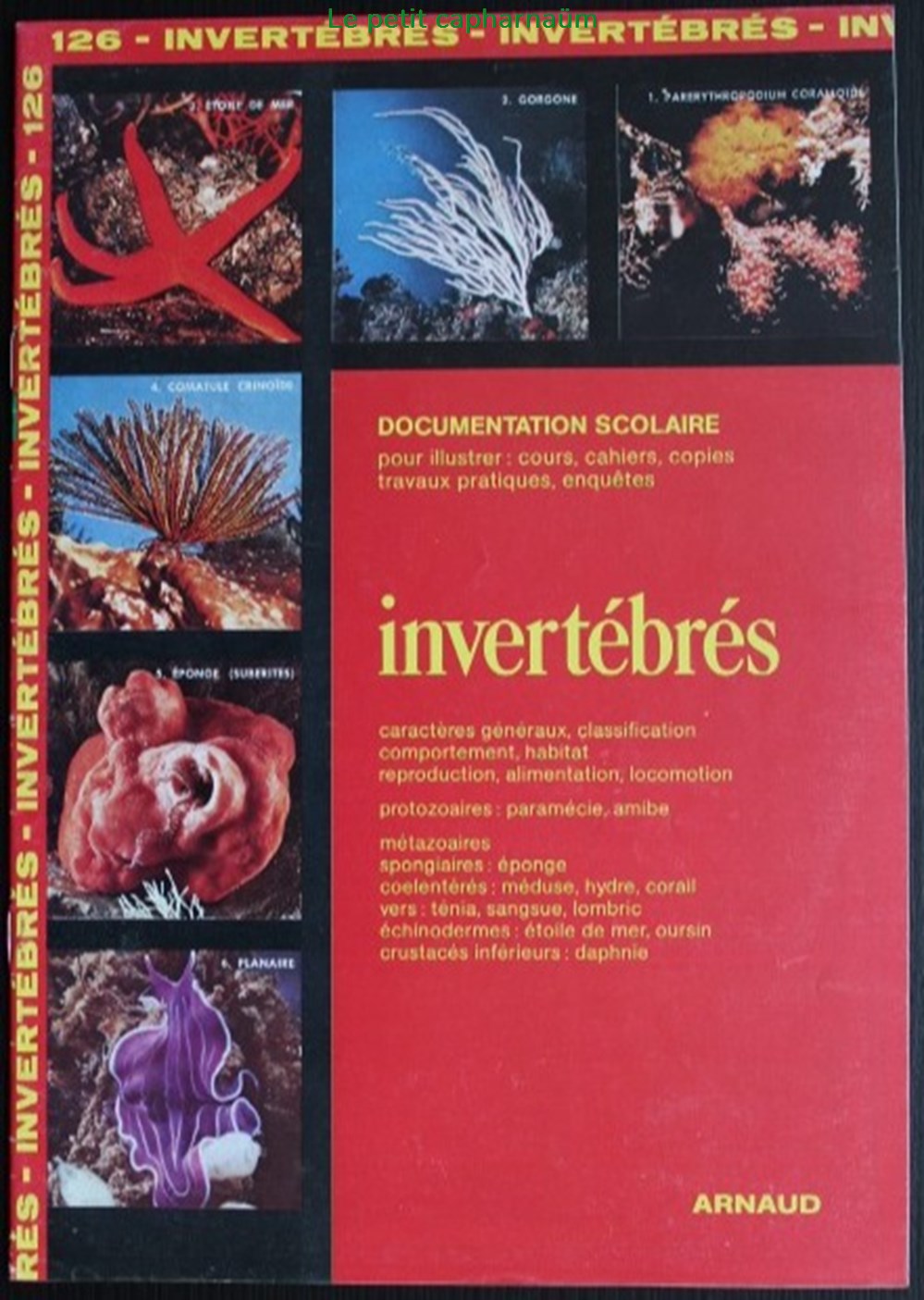 documents anciens chromos images documentation scolaire arnaud 126 invertebres edition 1985