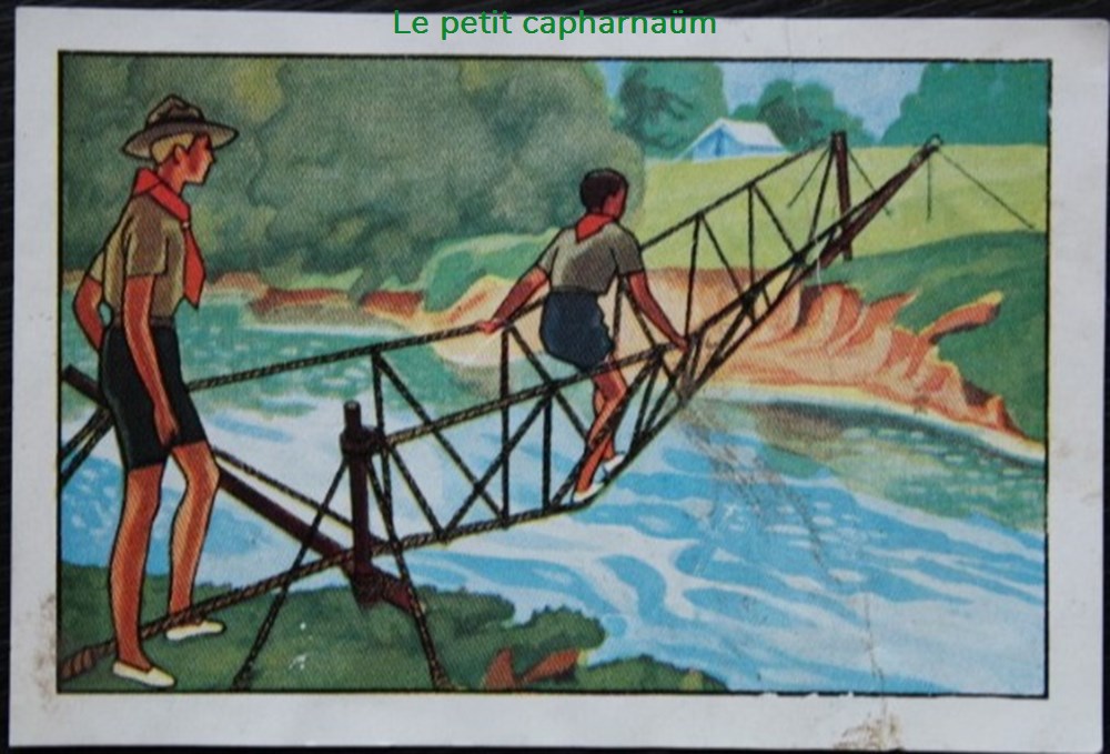 Image / Chromo - La vie fière et joyeuse des scouts - XX-07 - Un pont de corde documents anciens chromos images alimentaires image chromo la vie fiere et joyeuse des scouts xx 07 un pont de corde