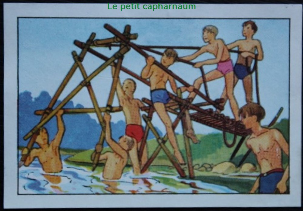 Image / Chromo - La vie fière et joyeuse des scouts - V-03 - La construction d'un pont documents anciens chromos images alimentaires image chromo la vie fiere et joyeuse des scouts v 03 la construction un pont