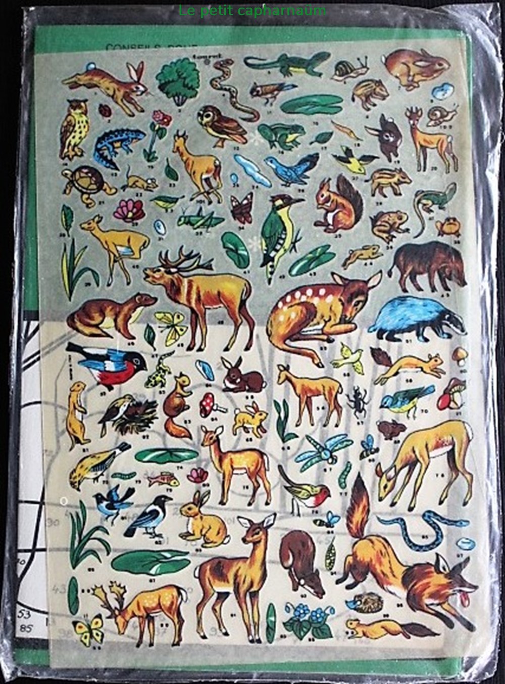Décorama - Touret - Les animaux du monde - Animaux de la forêt divers decorations magnets autocollants decalcomanies decorama touret les animaux du monde animaux de la foret
