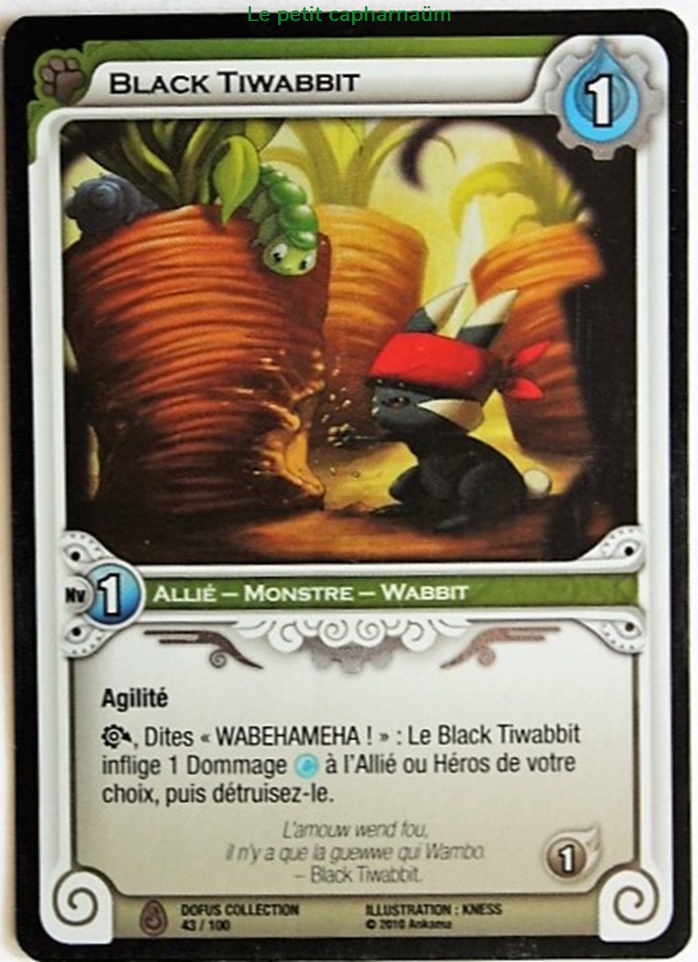 Wakfu TCG - 2011 - Dofus Collection - 043 - Black Tiwabbit - Brillante / Peu commune jeux de societe jouets jeu carte collectionner wakfu tcg 2011 dofus collection 043 black tiwabbit brillante peu commune