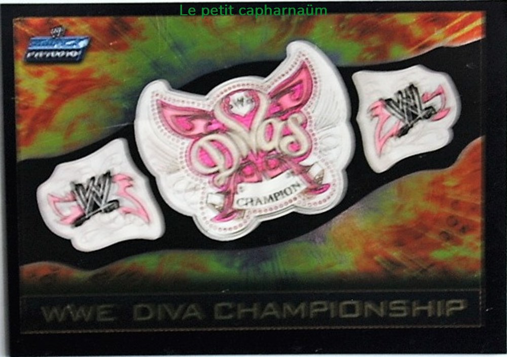 Slam Attax - Carte 042 - WWE Diva Championship - Rare Foil jeux de societe jouets jeu collectionner slam attax carte 042 wwe diva championship rare foil