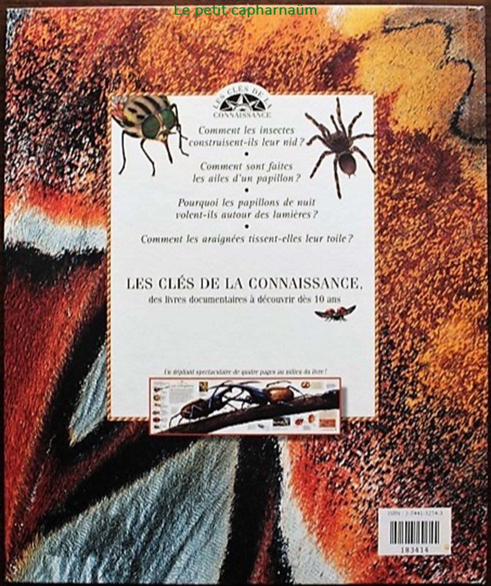 Les clés de la connaissance - 17 - Insectes et araignées - 1999 livres bd revues les cles de la connaissance 17 insectes et araignees 1999