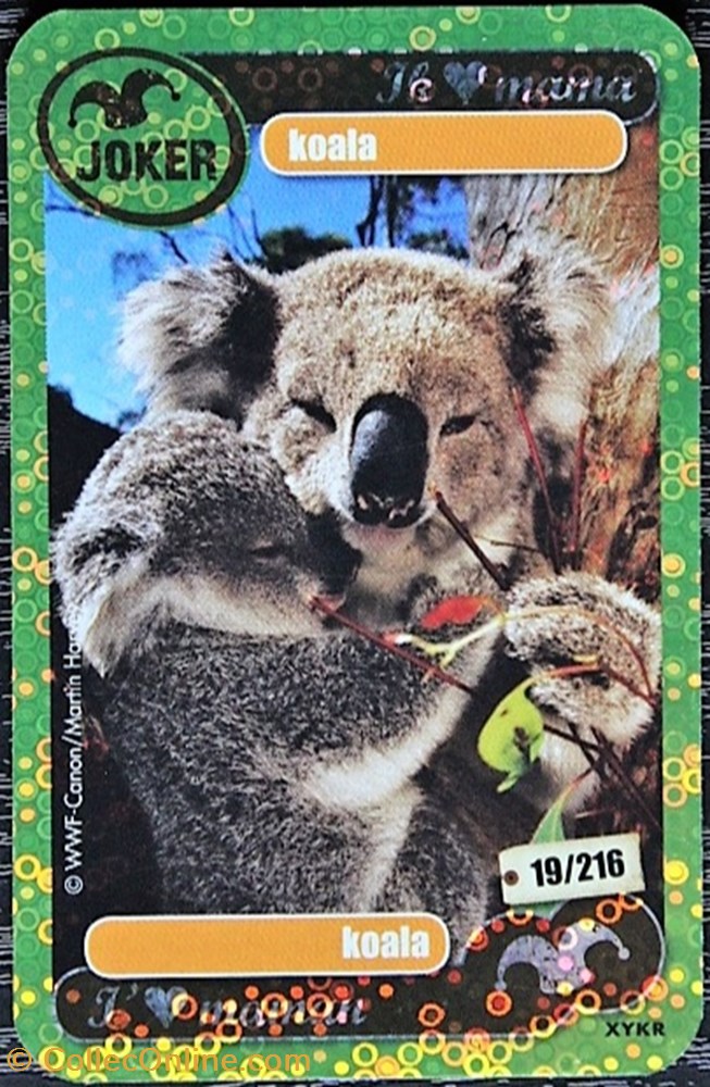 jeux jouet jeu carte collectionner tcg les heros de notre planete 019 koala rare brillante