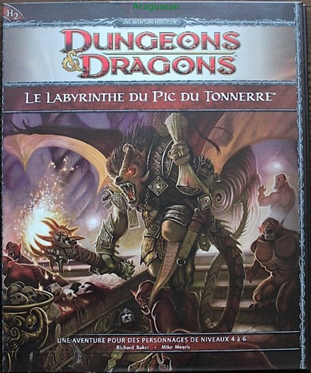jeux societe jouets roles jeu de role d d4 le labyrinthe du pic du tonnerre