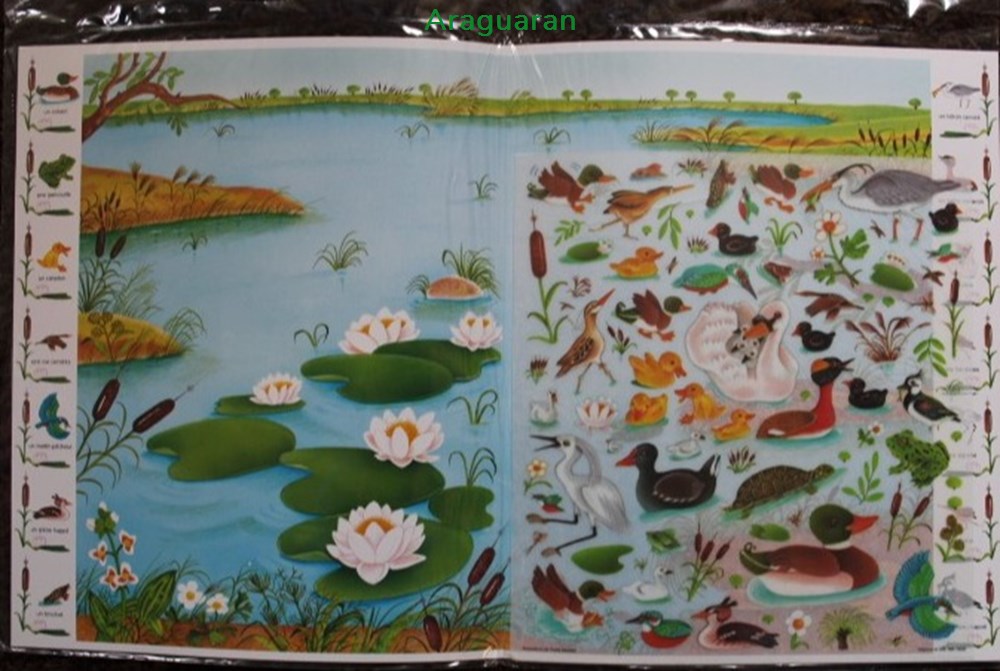 Décorama - Lito - Panoramique - Animaux au bord de l'eau (Les) 2 divers decorations magnets autocollants decalcomanies decorama lito panoramique animaux au bord de eau les