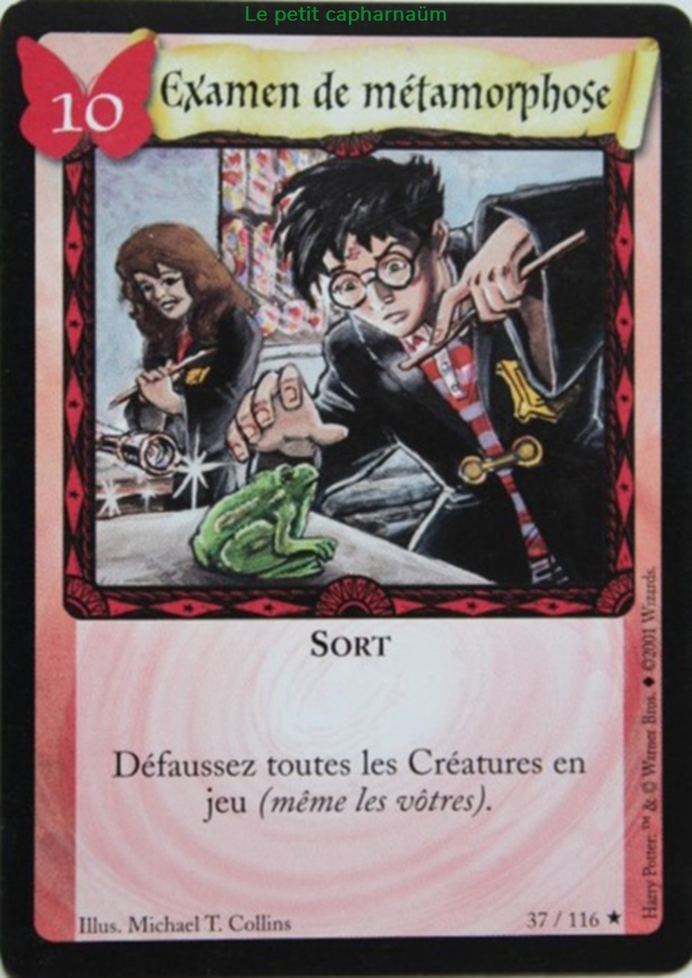 TCG Harry Potter - Set de base - 037 - Examen de métamorphose - Rare jeux societe jouets jeu carte collectionner tcg harry potter set de base 037 examen de metamorphose rare