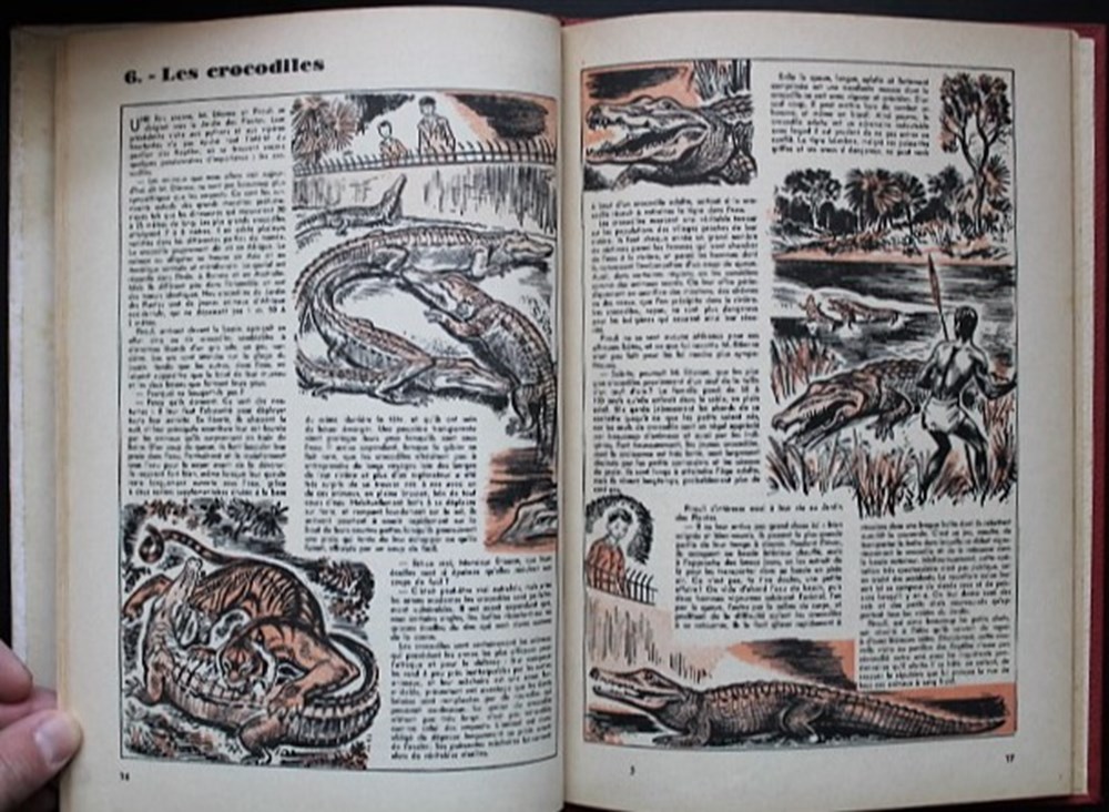 Album - Pirouli au zoo - EO 1955 3 livres bd revues bandes dessinees album pirouli au zoo eo 1955