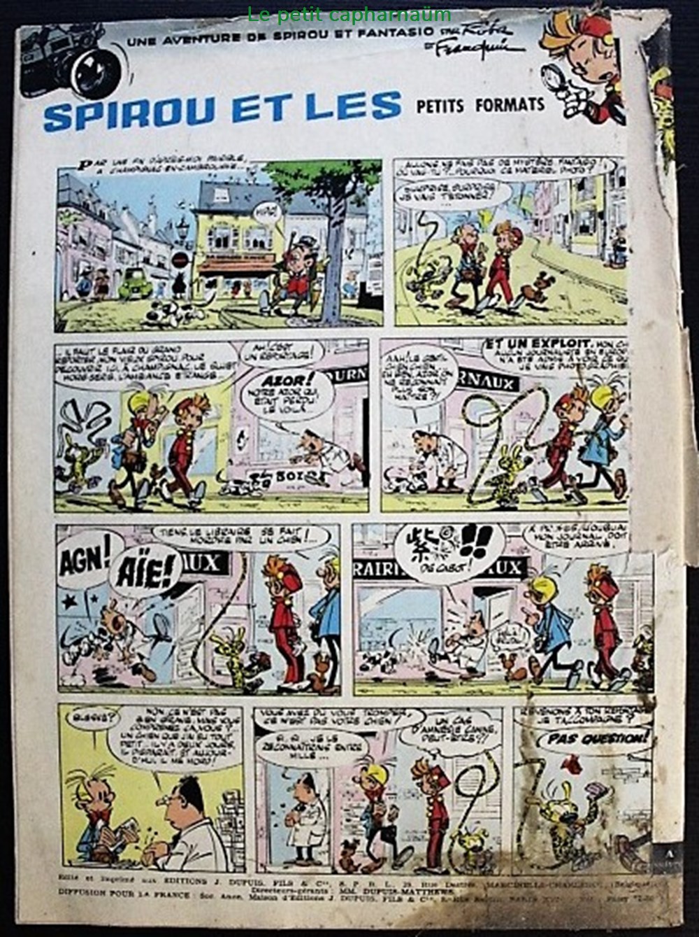 Spirou - 1273 - Couverture : Gaston Lagaffe livres bd revues spirou 1273 couverture gaston lagaffe