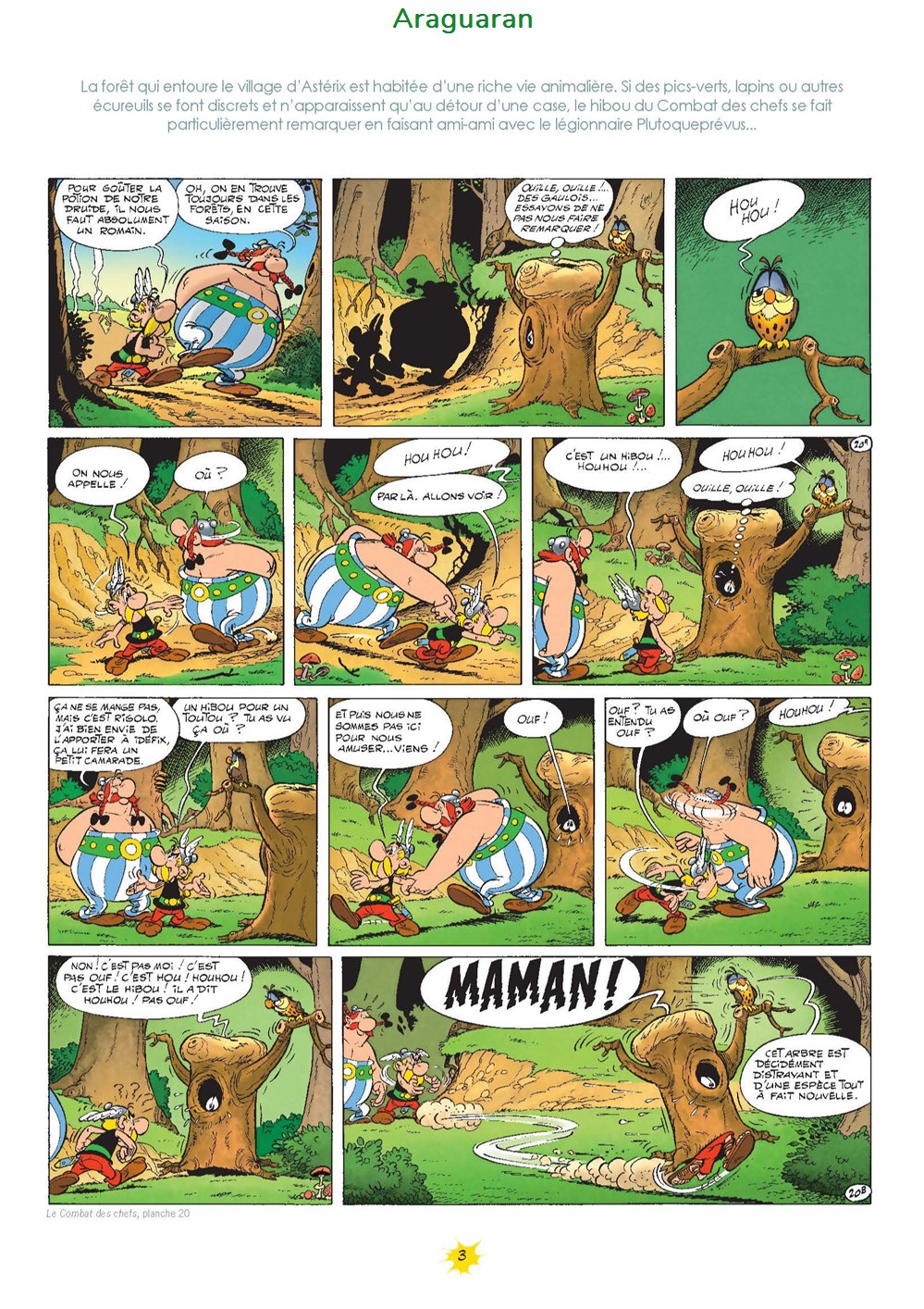 Magazine - Astérix - Irréductibles ! Avec Astérix - 08 3 livres bd revues magazine asterix irreductibles avec asterix 08