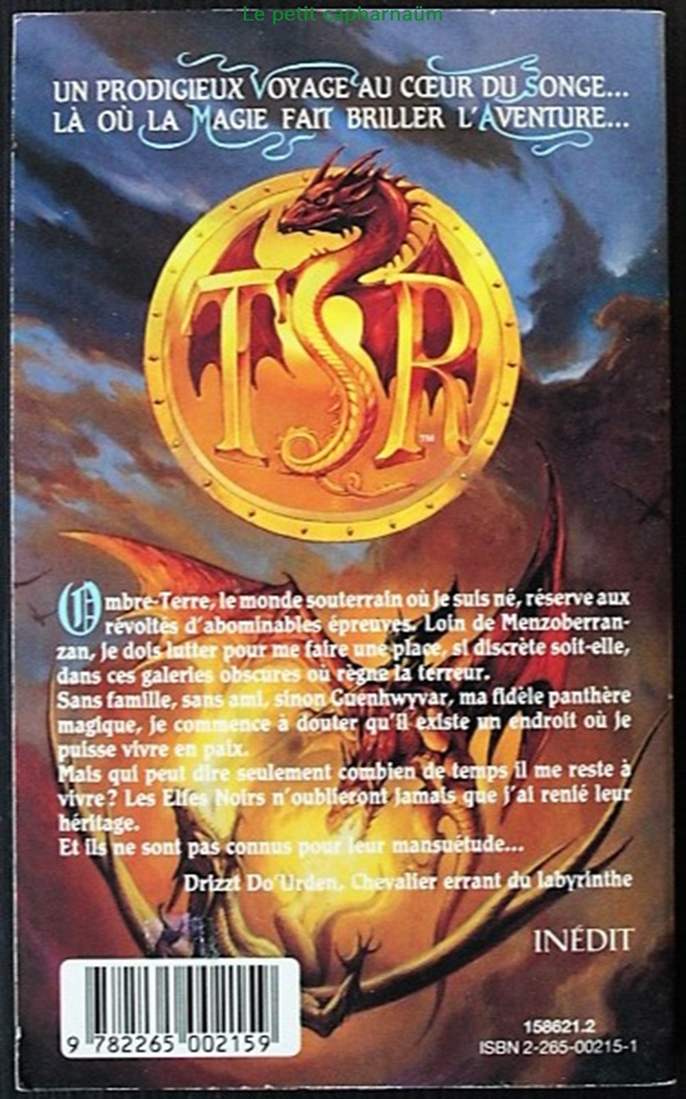 Livre de poche - Les royaumes oubliés - La trilogie des elfes noirs - 2 - Terre d'exil livres bd revues livre de poche les royaumes oublies la trilogie des elfes noirs 2 terre exil
