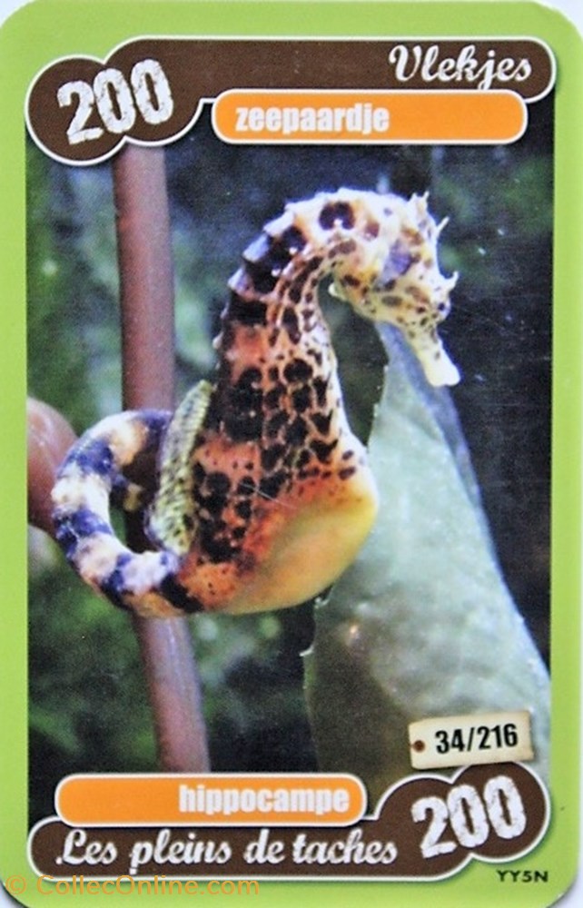 TCG Les héros de notre planète - 034 - Hippocampe jeux jouet jeu carte collectionner tcg les heros de notre planete 034 hippocampe