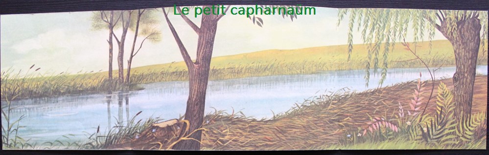 Décorama - Touret - Le vilain petit canard 4 divers decorations magnets autocollants decalcomanies decorama touret le vilain petit canard