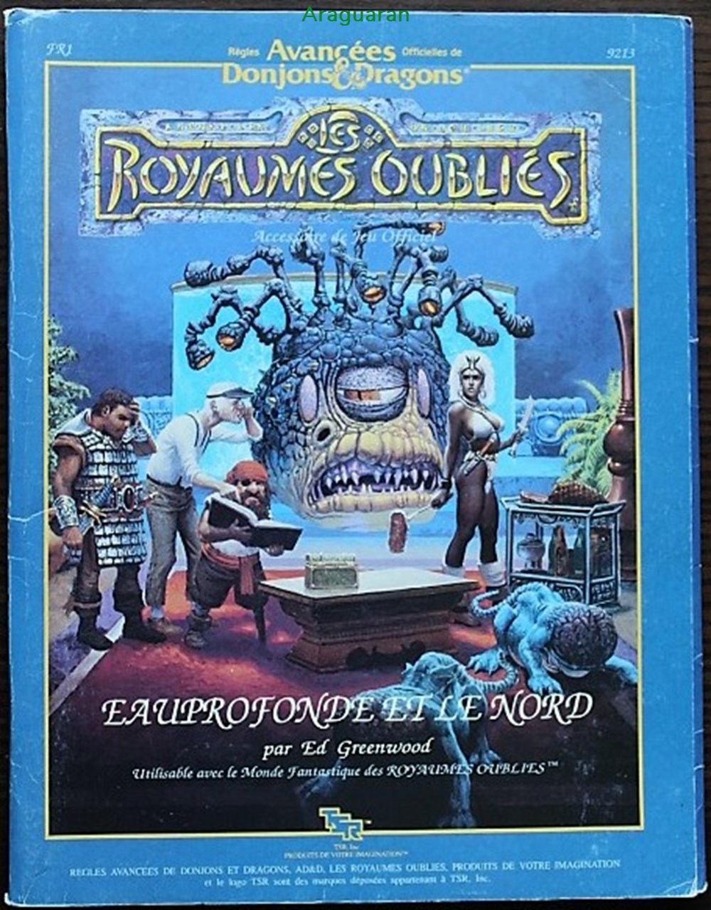 jeux societe jouets roles jeu de role ad d2 eauprofonde et le nord