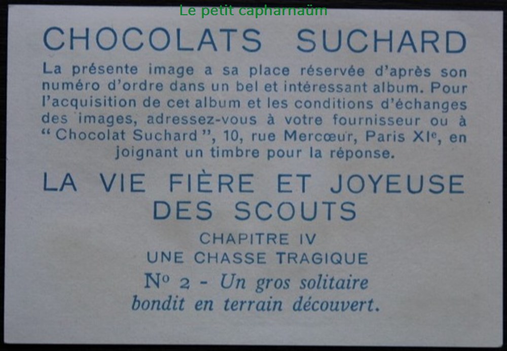 Image / Chromo - La vie fière et joyeuse des scouts - IV-02 - Un gros solitaire bondit documents anciens chromos images alimentaires image chromo la vie fiere et joyeuse des scouts iv 02 un gros solitaire bondit