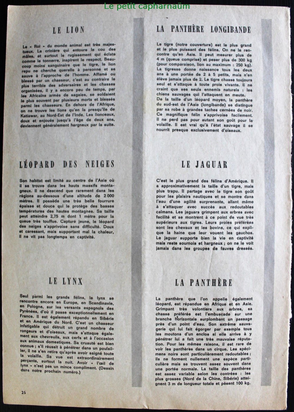 documents anciens chromos planches images les felins