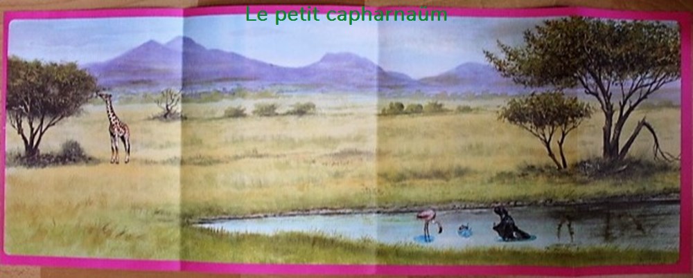 Décorama - Jesco Transrama Poster - Les animaux d'Afrique 2 divers decorations magnets autocollants decalcomanies decorama jesco transrama poster les animaux afrique