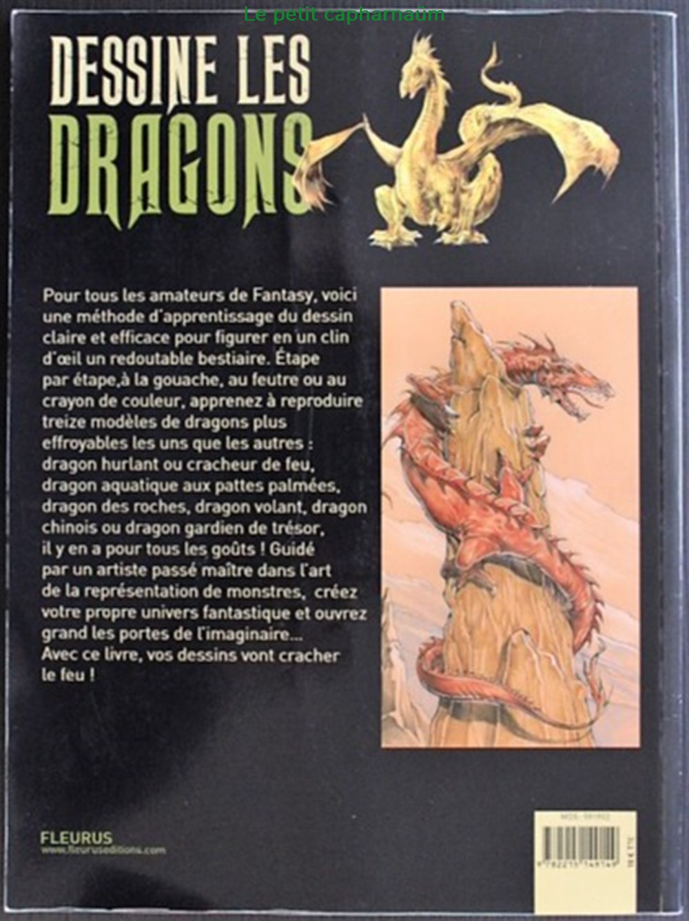 Dessine les dragons - Edition Fleurus 2014 livres bd revues dessine les dragons edition fleurus 2014