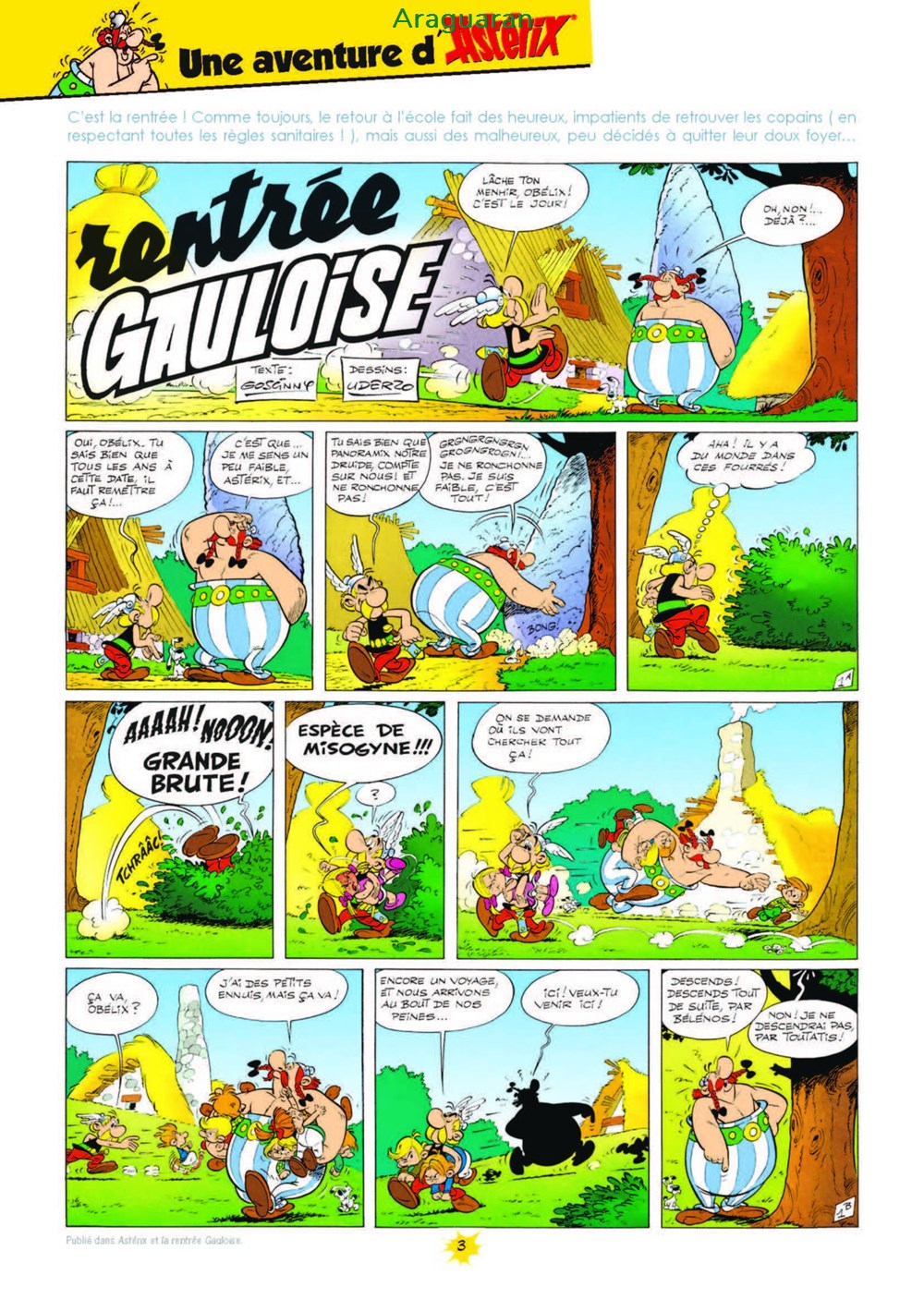 Magazine - Astérix - Irréductibles ! Avec Astérix - 07 3 livres bd revues magazine asterix irreductibles avec asterix 07