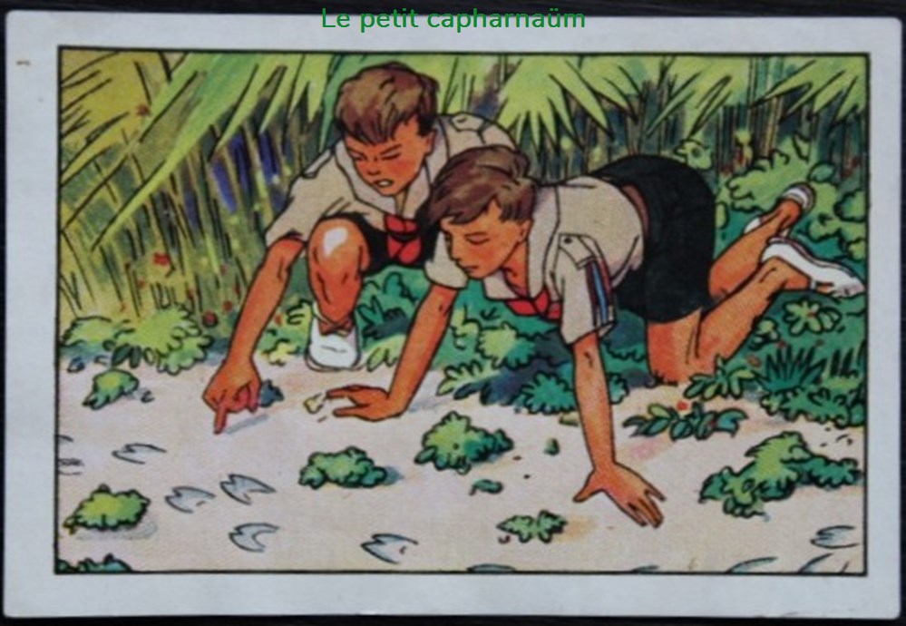 Image / Chromo - La vie fière et joyeuse des scouts - IX-06 - Le scoutisme apprend à lire documents anciens chromos images alimentaires image chromo la vie fiere et joyeuse des scouts ix 06 le scoutisme apprend a lire