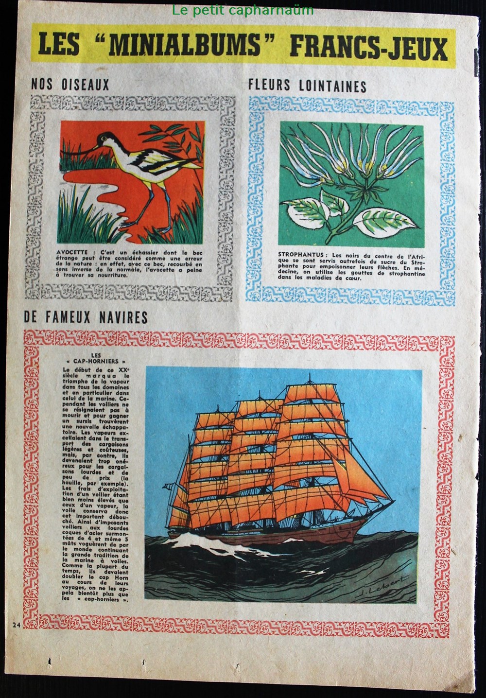 Mini-albums Francs Jeux - Planches Oiseaux / Fleurs lointaines / Fameux navires - Série 1 5 documents anciens chromos images mini albums francs jeux planches oiseaux fleurs lointaines fameux navires serie 1