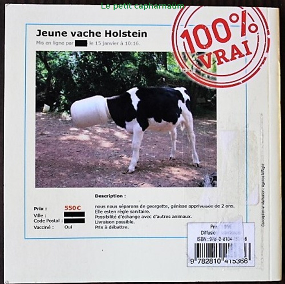 Pépites du site leboncoin.fr (Les) - Edition Prisma Media 2015 livres bd revues pepites du site leboncoin fr les edition prisma media 2015