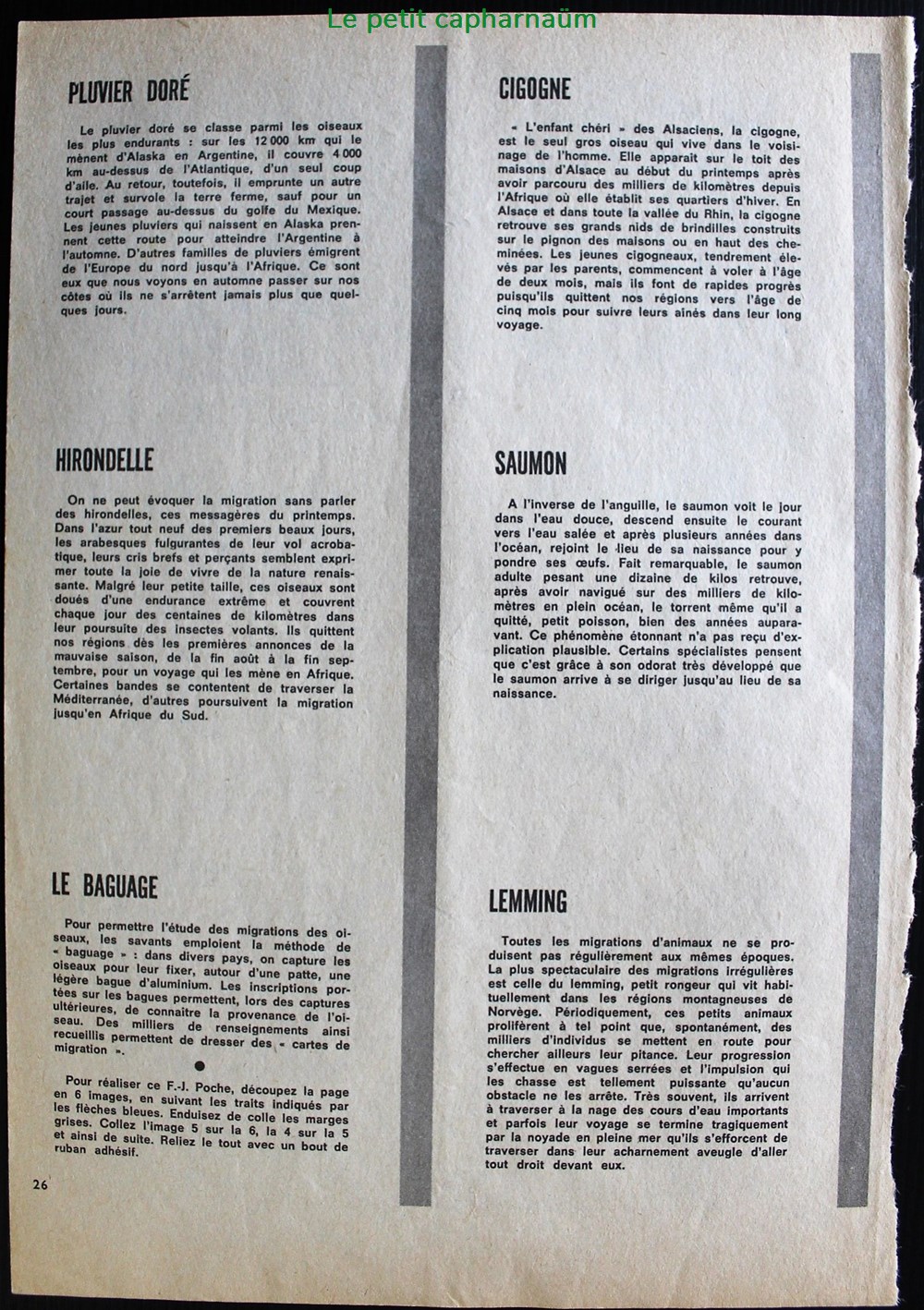 documents anciens chromos planches images les animaux migrateurs