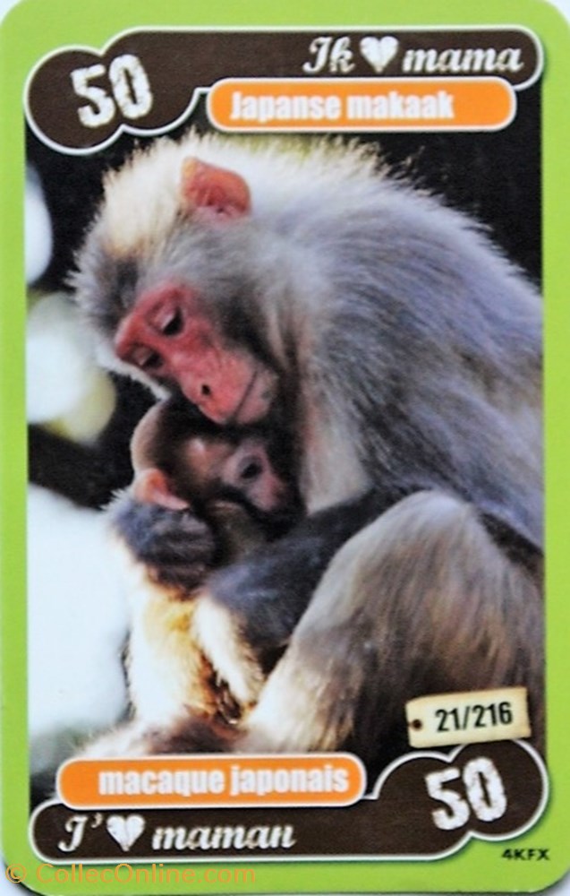 jeux jouet jeu carte collectionner tcg les heros de notre planete 021 macaque japonais