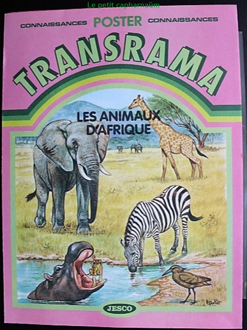 Décorama - Jesco Transrama Poster - Les animaux d'Afrique divers decorations magnets autocollants decalcomanies decorama jesco transrama poster les animaux afrique