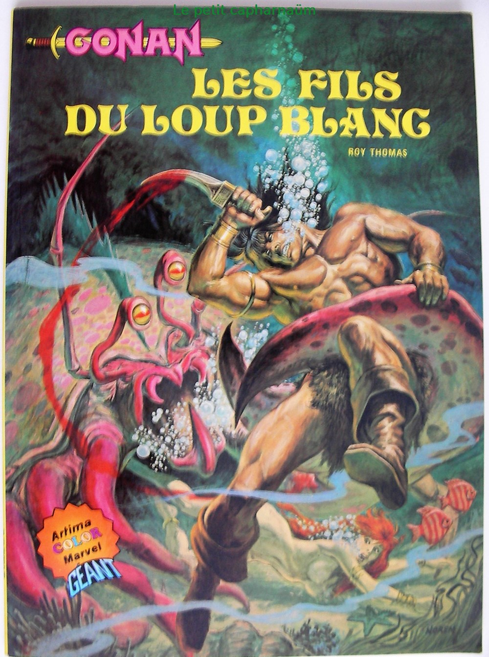 Conan (2e série Arédit Artima Color Marvel Géant) - 05 - Les fils du loup blanc - EO 1982 livres bd revues bandes dessinees conan 2e serie aredit artima color marvel geant 05 les fils du loup blanc eo 1982