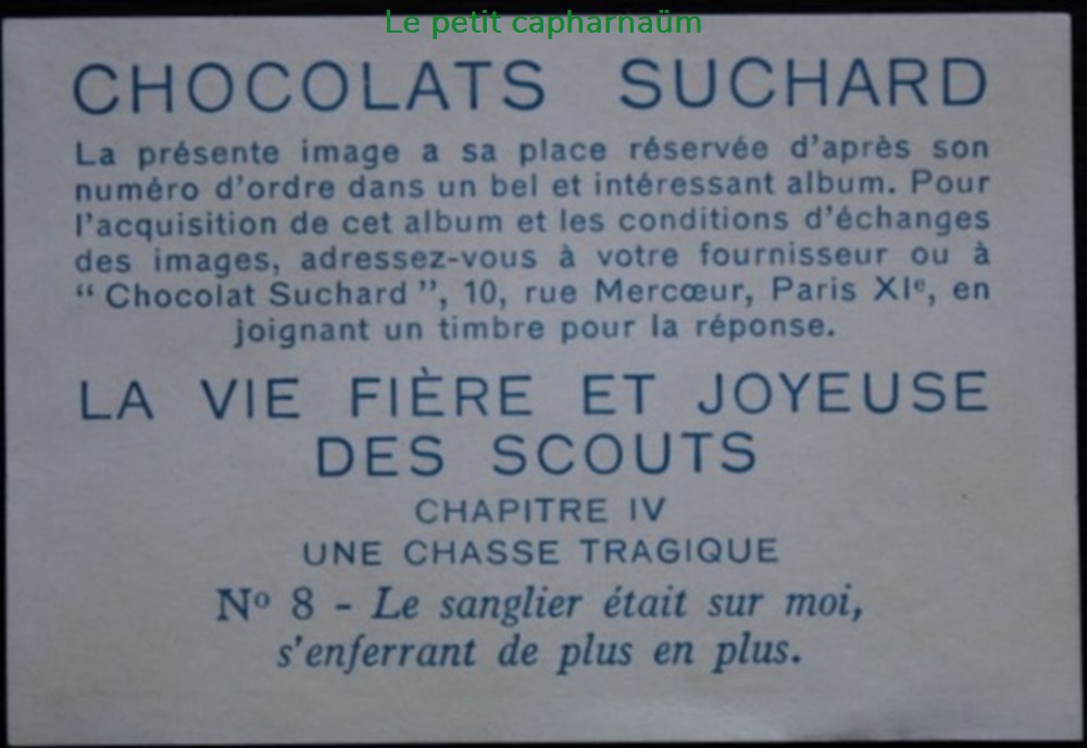 Image / Chromo - La vie fière et joyeuse des scouts - IV-08 - Le sanglier était sur moi documents anciens chromos images alimentaires image chromo la vie fiere et joyeuse des scouts iv 08 le sanglier etait sur moi