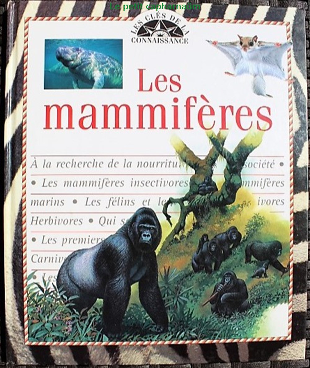 Les clés de la connaissance - 16 - Les mammifères - 1997 livres bd revues les cles de la connaissance 16 les mammiferes 1997