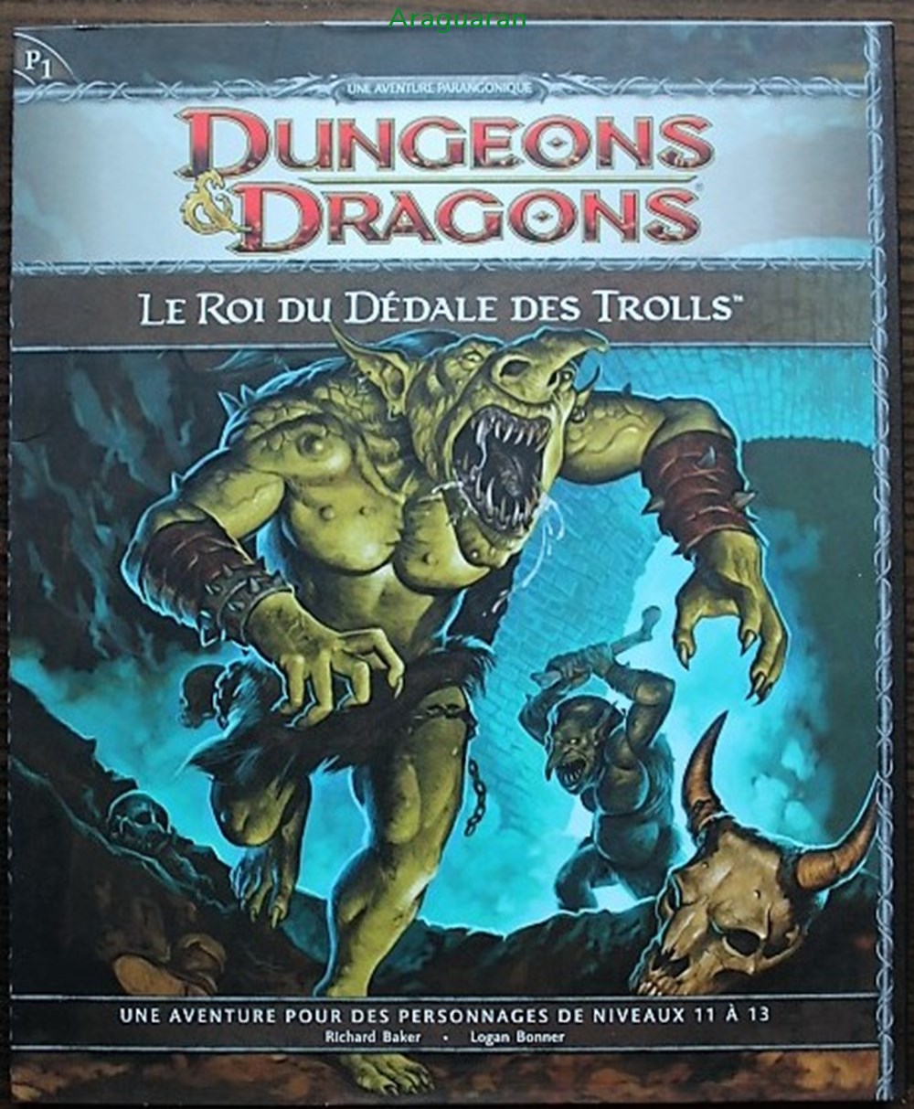 Jeu de rôle - D&D4 - Le Roi du dédale des Trolls jeux societe jouets roles jeu de role d d4 le roi du dedale des trolls