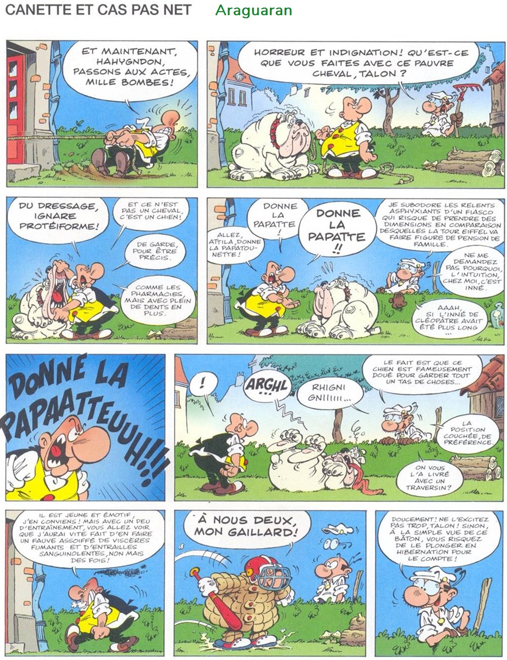 livres bd revues bandes dessinees album achille talon 43 achille talon a la main verte