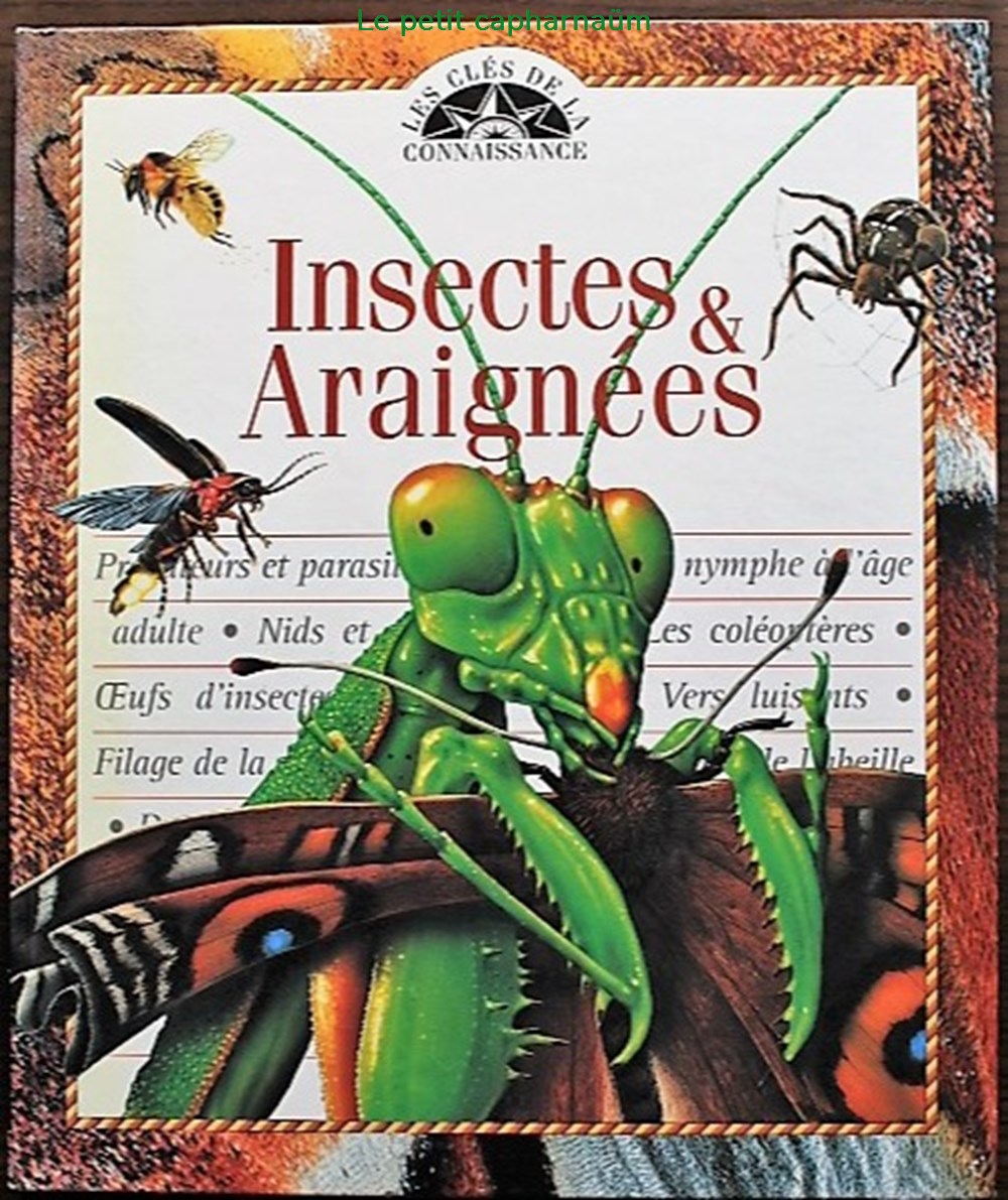 Les clés de la connaissance - 17 - Insectes et araignées - 1999 livres bd revues les cles de la connaissance 17 insectes et araignees 1999