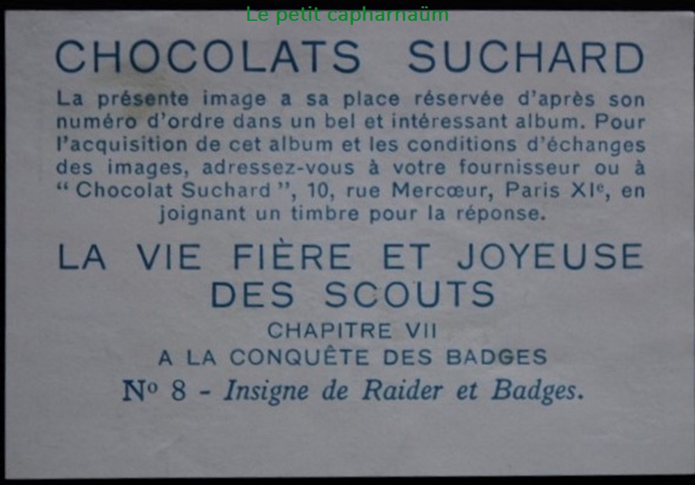 Image / Chromo - La vie fière et joyeuse des scouts - VII-08 - Insigne de raider et badges documents anciens chromos images alimentaires image chromo la vie fiere et joyeuse des scouts vii 08 insigne de raider et badges