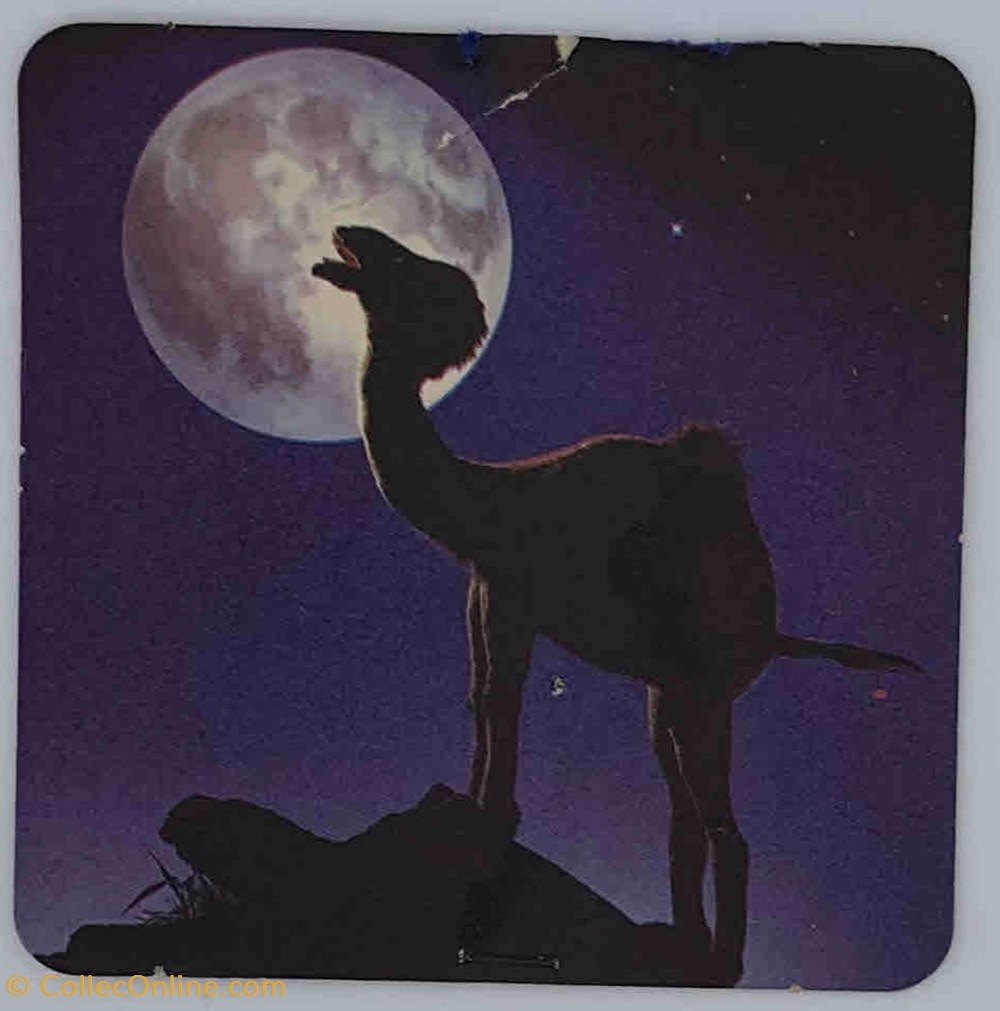 Camel objets publicitaires camel
